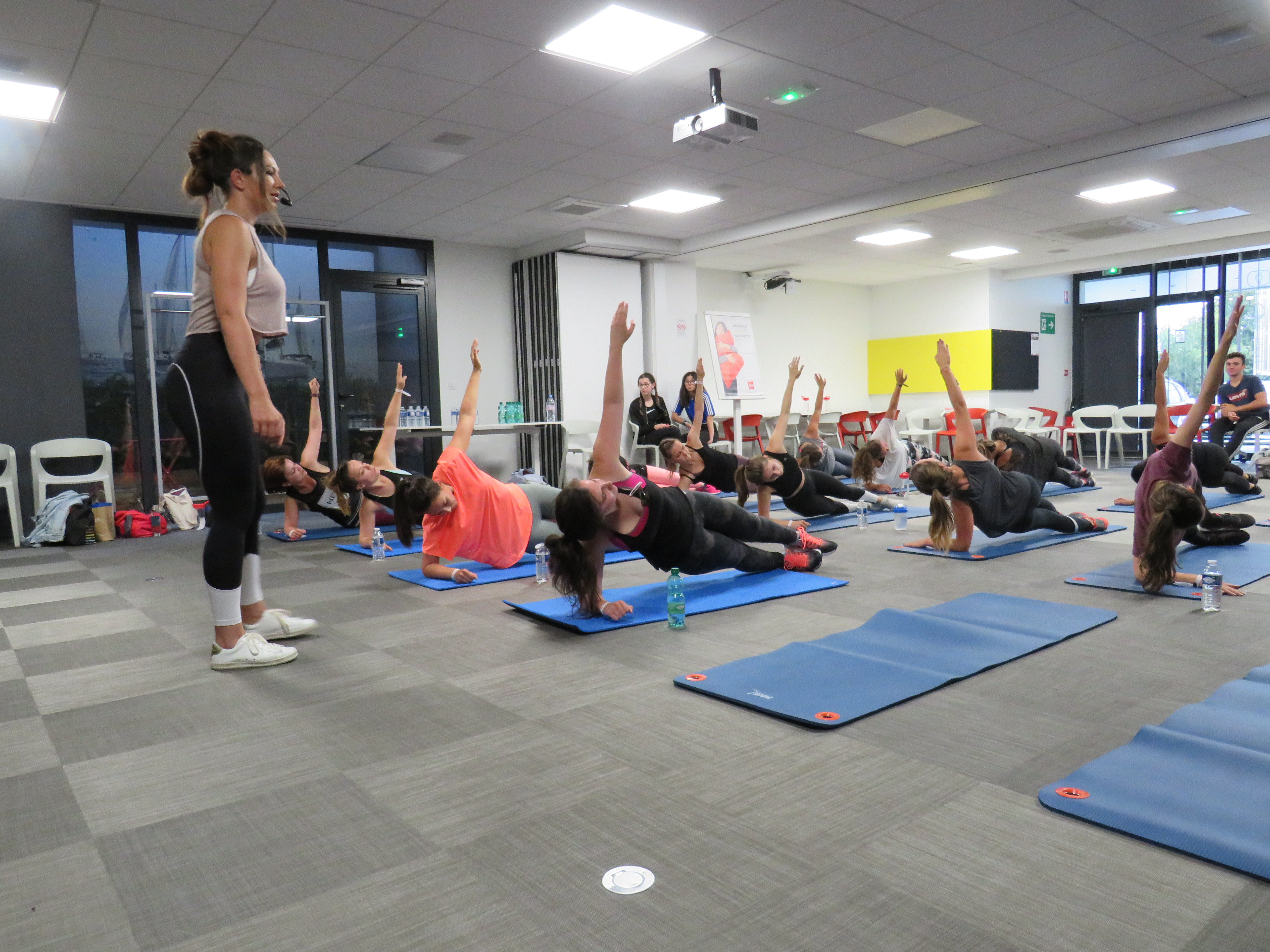 Disadvantages of ibis image